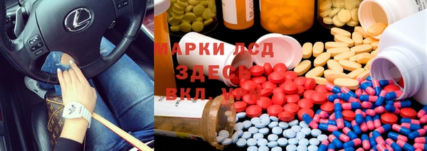 прущие грибы Балахна