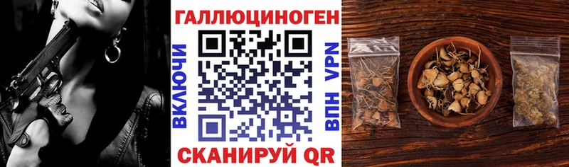 Галлюциногенные грибы Psilocybe  купить наркотик  Семикаракорск 